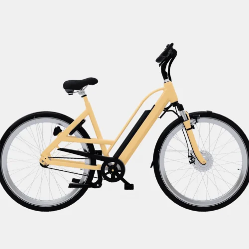 product-image-1_2 Accumsan Nulla